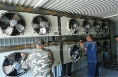 中俄邊境城市布拉戈維申斯克大馬哈魚(yú)冷凍